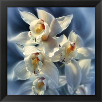 Framed Orchids Print