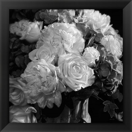 Framed Rhapsody in Bloom - B&amp;W Print