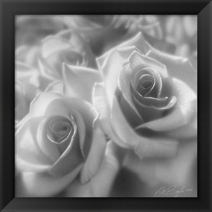 Framed Rose Pair B&amp;W Print