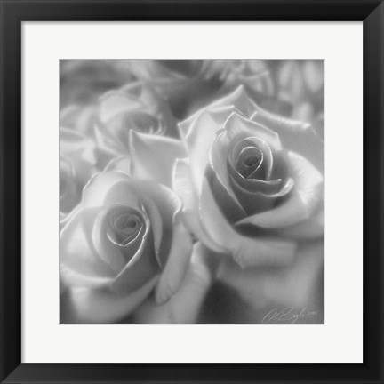 Framed Rose Pair B&amp;W Print