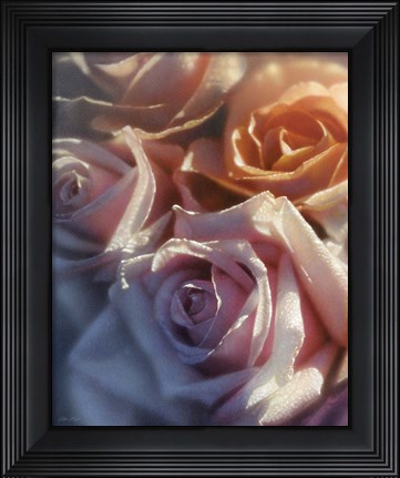 Framed Rose Pedals Print