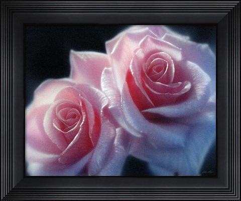 Framed Roses - Pink Pair Print