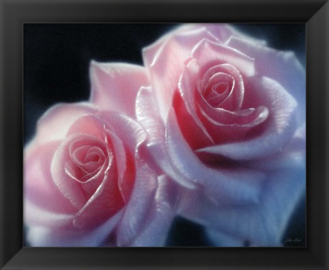 Framed Roses - Pink Pair Print