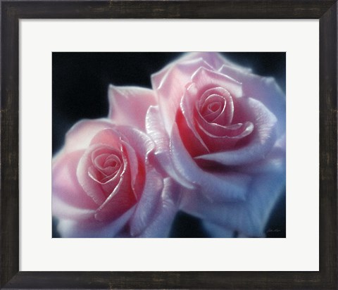 Framed Roses - Pink Pair Print