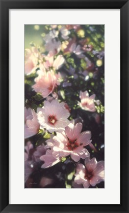 Framed Summer Flowers Print