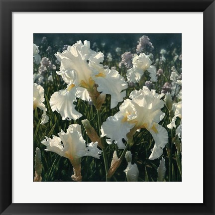 Framed White Iris Garden - Square Print