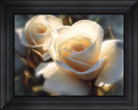 Framed White Roses - Colors of White Print