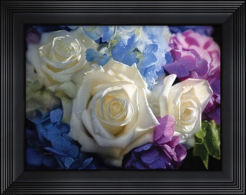Framed White Roses - Dancing Light Print
