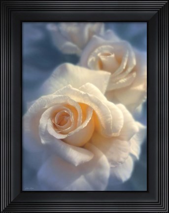 Framed White Roses - Unforgettable Print