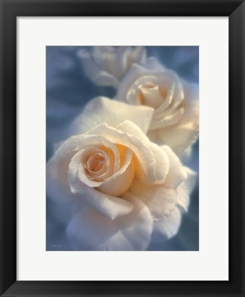 Framed White Roses - Unforgettable Print