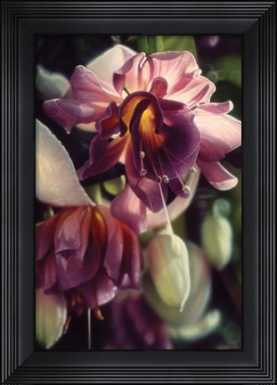 Framed Fuchsia Print