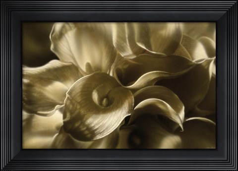 Framed Golden Lilies Print