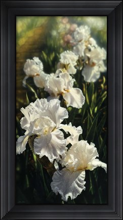 Framed Iris Garden Print