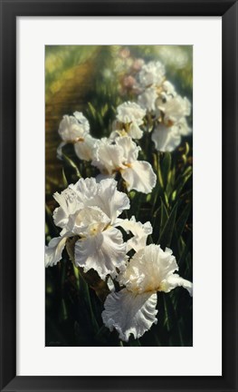 Framed Iris Garden Print