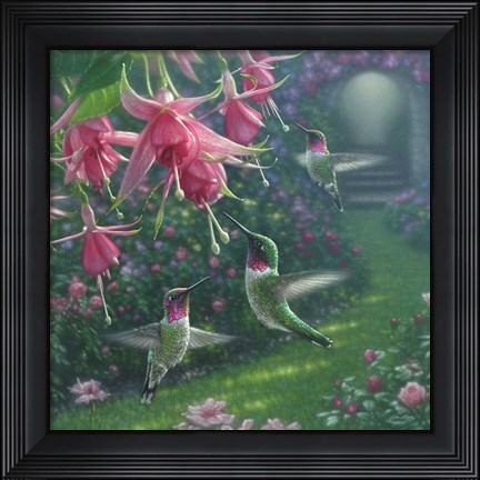 Framed Hummingbird Haven - Square Print