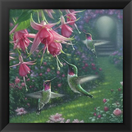 Framed Hummingbird Haven - Square Print