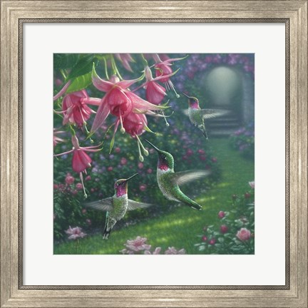Framed Hummingbird Haven - Square Print