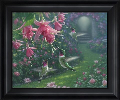 Framed Hummingbird Haven Print