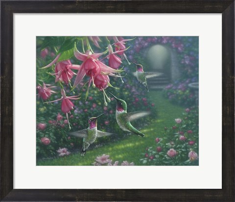 Framed Hummingbird Haven Print