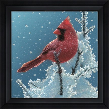 Framed Cardinal - Cherry on Top Print