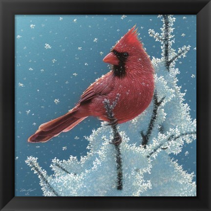 Framed Cardinal - Cherry on Top Print