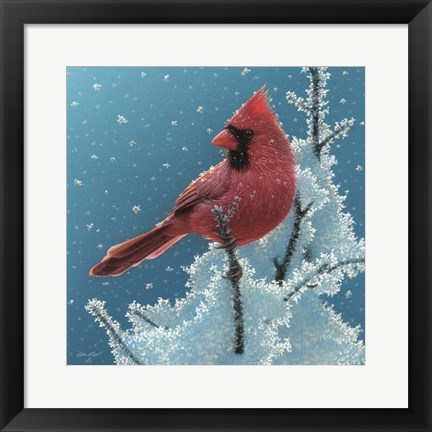 Framed Cardinal - Cherry on Top Print