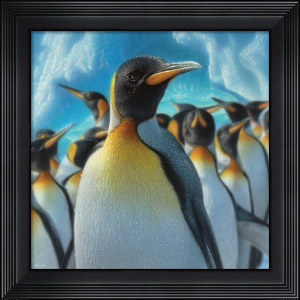 Framed Penguin Paradise - Square Print