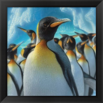 Framed Penguin Paradise - Square Print