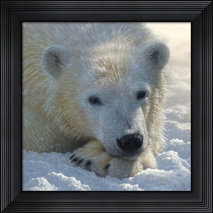 Framed Polar Bear Club Print
