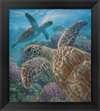 Framed Sea Turtles - Turtle Bay Print