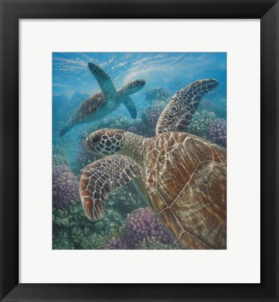 Framed Sea Turtles - Turtle Bay Print