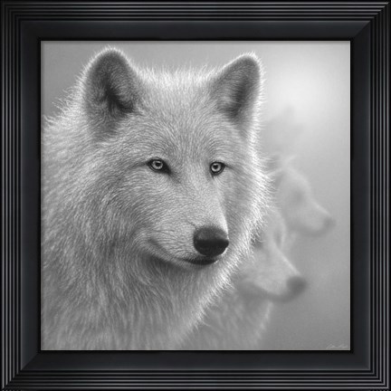 Framed Arctic Wolves - Whiteout - B&amp;W Print