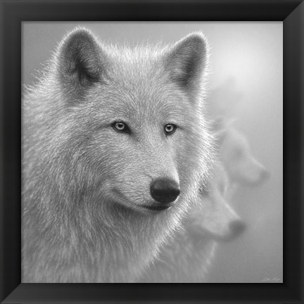 Framed Arctic Wolves - Whiteout - B&amp;W Print