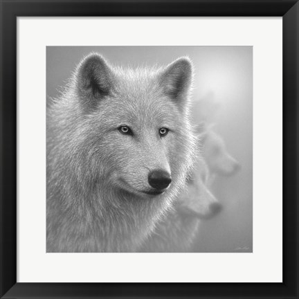 Framed Arctic Wolves - Whiteout - B&amp;W Print