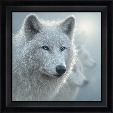 Framed Arctic Wolves - Whiteout Print
