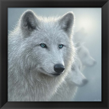 Framed Arctic Wolves - Whiteout Print