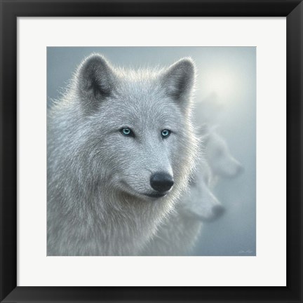 Framed Arctic Wolves - Whiteout Print