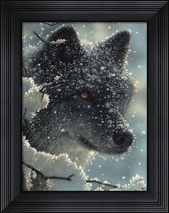 Framed Black Wolf - Black in White Print