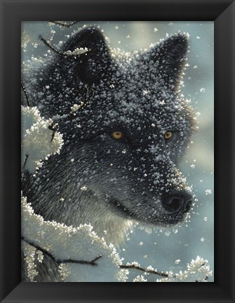 Framed Black Wolf - Black in White Print