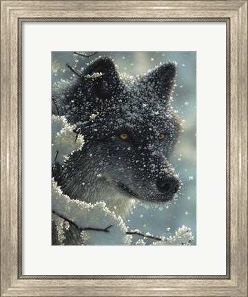 Framed Black Wolf - Black in White Print