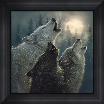 Framed Howling Wolves - In Harmony Print