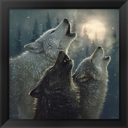 Framed Howling Wolves - In Harmony Print