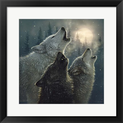 Framed Howling Wolves - In Harmony Print