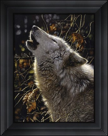 Framed Howling Wolf - Songs of Autumn Print
