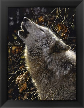 Framed Howling Wolf - Songs of Autumn Print