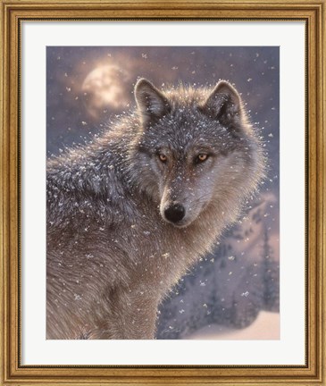 Framed Lone Wolf Print
