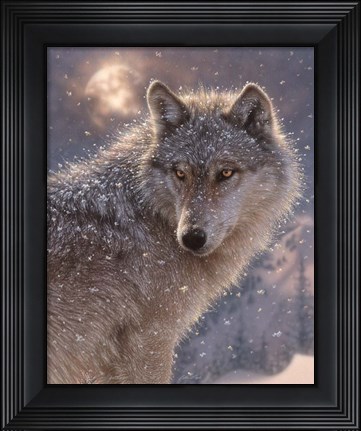 Framed Lone Wolf Print