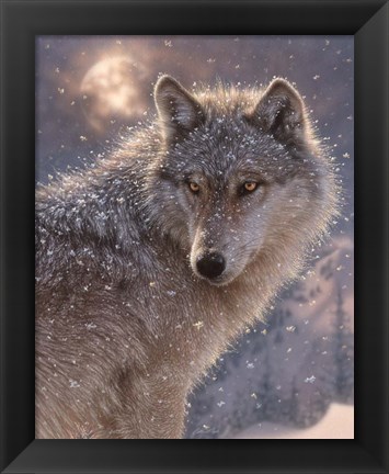 Framed Lone Wolf Print