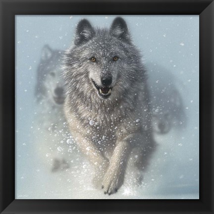 Framed Running Wolves - Snow Plow - Square Print