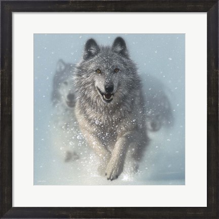 Framed Running Wolves - Snow Plow - Square Print